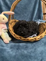 processed/020073d6-22f0-43fb-947b-006433e9cbea/listing/7d480828-0c47-417e-9b5c-a22f0253fed1/1fbe1657-a4a1-4d0f-af4b-a44ce3301224