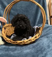 processed/020073d6-22f0-43fb-947b-006433e9cbea/listing/7d480828-0c47-417e-9b5c-a22f0253fed1/2b2e2be2-19fd-416a-b9e2-73190ece582a