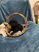 processed/020073d6-22f0-43fb-947b-006433e9cbea/listing/7d480828-0c47-417e-9b5c-a22f0253fed1/5d933721-970b-47a3-9cf5-4eef65b16498