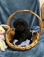 processed/020073d6-22f0-43fb-947b-006433e9cbea/listing/7d480828-0c47-417e-9b5c-a22f0253fed1/5de3a59b-b0e7-4d14-894a-e38d156c965b