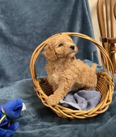 processed/020073d6-22f0-43fb-947b-006433e9cbea/listing/bdc89272-bf7b-472b-bd66-fbba4a71e482/64bfcdb1-7e97-4727-9f05-9aae37dc80c7