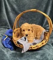 processed/020073d6-22f0-43fb-947b-006433e9cbea/listing/bdc89272-bf7b-472b-bd66-fbba4a71e482/88785f20-b7cf-4a31-92c5-9178aade9131