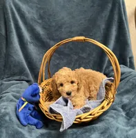 processed/020073d6-22f0-43fb-947b-006433e9cbea/listing/bdc89272-bf7b-472b-bd66-fbba4a71e482/98e65167-e250-427c-92da-49d240a5c5ee