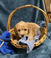 processed/020073d6-22f0-43fb-947b-006433e9cbea/listing/bdc89272-bf7b-472b-bd66-fbba4a71e482/b6dd372d-463f-4af0-8122-e6fcc4d9a5c6