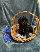 processed/020073d6-22f0-43fb-947b-006433e9cbea/listing/e2ded6a1-c55e-4394-847c-8a241a4469d6/9920bad2-a5b3-47e3-9890-859b84583809