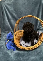 processed/020073d6-22f0-43fb-947b-006433e9cbea/listing/e2ded6a1-c55e-4394-847c-8a241a4469d6/e687a481-cc7d-40b5-b127-9db39e0133bd