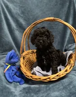 processed/020073d6-22f0-43fb-947b-006433e9cbea/listing/e2ded6a1-c55e-4394-847c-8a241a4469d6/ec78cc39-17fd-4a01-a0a2-10ec8a247046