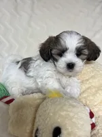 processed/020bb436-516c-4a5a-896a-d365896de2c5/listing/fdde7d17-bb8a-4c4d-8a28-2c0cb02c9959/2e3f7c06-a2d9-4b61-a0f7-e6de6291cfa0