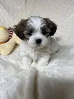 processed/020bb436-516c-4a5a-896a-d365896de2c5/listing/fdde7d17-bb8a-4c4d-8a28-2c0cb02c9959/5eb8003b-cb24-4d39-9ccf-2d6fd4722e17