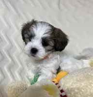 processed/020bb436-516c-4a5a-896a-d365896de2c5/listing/fdde7d17-bb8a-4c4d-8a28-2c0cb02c9959/6702f26b-5e80-4e01-a2d5-7a5b8c547f9f