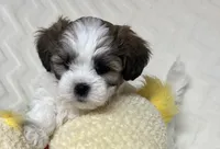 processed/020bb436-516c-4a5a-896a-d365896de2c5/listing/fdde7d17-bb8a-4c4d-8a28-2c0cb02c9959/c555c262-24ce-44a1-8453-e7a545b51b93