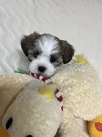 processed/020bb436-516c-4a5a-896a-d365896de2c5/listing/fdde7d17-bb8a-4c4d-8a28-2c0cb02c9959/d716953c-8d20-4edc-80ed-c9a4db9ab238