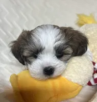 processed/020bb436-516c-4a5a-896a-d365896de2c5/listing/fdde7d17-bb8a-4c4d-8a28-2c0cb02c9959/efa70950-efcc-4733-a15d-78ca371d0d74