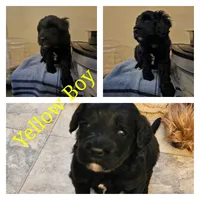 processed/020bd4c2-8ca7-4136-af6d-053a0720c5e8/facility/58e14454-dec4-4457-8a90-f6b5c739fa7f