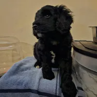 processed/020bd4c2-8ca7-4136-af6d-053a0720c5e8/facility/c98195f2-348d-49a5-97c2-c90164c45abb