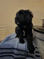 processed/020bd4c2-8ca7-4136-af6d-053a0720c5e8/facility/c98195f2-348d-49a5-97c2-c90164c45abb