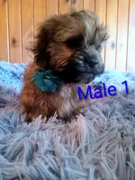 processed/020e5b6e-6970-4126-a3dc-14e6bbd809d9/listing/645a4303-155d-402d-bac1-9274f0a537cd/09e6a274-c7d7-4b9f-983b-09c238c3f524