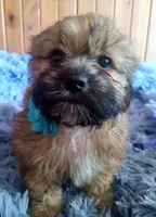 processed/020e5b6e-6970-4126-a3dc-14e6bbd809d9/listing/645a4303-155d-402d-bac1-9274f0a537cd/4601bd6b-da6c-4fab-84fb-b1fc8ff12958