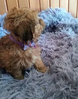 processed/020e5b6e-6970-4126-a3dc-14e6bbd809d9/listing/6d68d411-bcf1-4e74-9197-6e49a8208e1b/8a3b1c0c-87f1-4b87-9247-a054ff4a000f