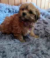 processed/020e5b6e-6970-4126-a3dc-14e6bbd809d9/listing/6d68d411-bcf1-4e74-9197-6e49a8208e1b/9be627f0-0a55-4182-b3ec-6dc880c15bfd