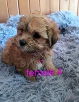 processed/020e5b6e-6970-4126-a3dc-14e6bbd809d9/listing/6d68d411-bcf1-4e74-9197-6e49a8208e1b/be9752f5-fa84-45a7-abbe-a9e38c7cb39d