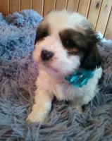 processed/020e5b6e-6970-4126-a3dc-14e6bbd809d9/listing/a237c861-8400-431a-a946-5847dd387afc/5a3e6f3b-d825-4667-acaa-9b6a7127ae3c