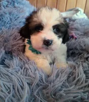 processed/020e5b6e-6970-4126-a3dc-14e6bbd809d9/listing/a237c861-8400-431a-a946-5847dd387afc/5f9b5af4-0e81-4b48-bb93-ab39544f4040