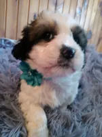 processed/020e5b6e-6970-4126-a3dc-14e6bbd809d9/listing/a237c861-8400-431a-a946-5847dd387afc/7f0366e5-debf-4091-b808-adf6a59bd3da