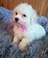 processed/020e5b6e-6970-4126-a3dc-14e6bbd809d9/listing/b85f1815-947c-47c6-a3f3-d229b9509203/3449c4fc-591b-4d37-9c11-ac63d932e868