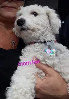 processed/020e5b6e-6970-4126-a3dc-14e6bbd809d9/listing/b85f1815-947c-47c6-a3f3-d229b9509203/44f5cba8-b7e6-48dd-afb8-4d447834e416