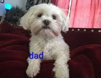 processed/020e5b6e-6970-4126-a3dc-14e6bbd809d9/listing/b85f1815-947c-47c6-a3f3-d229b9509203/912c029a-5547-45f7-b67a-9d608be4cbd2