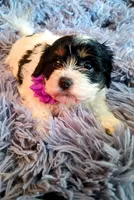 processed/020e5b6e-6970-4126-a3dc-14e6bbd809d9/listing/f2c380f3-2d20-48c5-b0f9-62c3d000126a/d0946ba1-b9ef-4ecf-b39d-74411e64354b