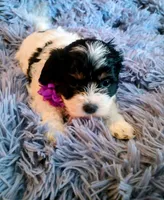 processed/020e5b6e-6970-4126-a3dc-14e6bbd809d9/listing/f2c380f3-2d20-48c5-b0f9-62c3d000126a/d30ea658-c028-4e08-9760-3457c696213d