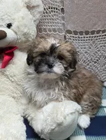 processed/02161680-50ec-45b1-952f-236ce4a15ec7/listing/24f26775-560a-44af-886c-df17461a802d/4e884f51-594e-4e5f-8fc0-0909032cb9fe