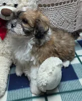 processed/02161680-50ec-45b1-952f-236ce4a15ec7/listing/24f26775-560a-44af-886c-df17461a802d/83feff21-6503-4d6d-b918-fabe33108255