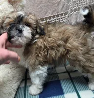 processed/02161680-50ec-45b1-952f-236ce4a15ec7/listing/24f26775-560a-44af-886c-df17461a802d/a5630682-770c-44a9-aa3f-f82fb0e389db