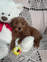 processed/02161680-50ec-45b1-952f-236ce4a15ec7/listing/5c68d232-dd2e-4291-a4ae-2ad6886f4ff1/a0bd2187-19f3-4dcc-9ffd-8163c59923e9