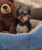 processed/02161680-50ec-45b1-952f-236ce4a15ec7/listing/a91b3480-f17a-4b81-92fa-53b8c3a66b58/54b65e81-fe32-40f9-b10f-94890c972ac1