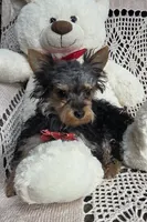 processed/02161680-50ec-45b1-952f-236ce4a15ec7/listing/a91b3480-f17a-4b81-92fa-53b8c3a66b58/e37e0f3f-66e9-4902-9492-4012a86694c7