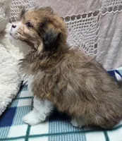 processed/02161680-50ec-45b1-952f-236ce4a15ec7/listing/d5103d4b-dd5c-4b41-a855-909a37e51eae/a014da50-480f-4894-afa3-b1f30ed5919f