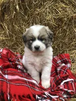 processed/02161680-50ec-45b1-952f-236ce4a15ec7/listing/d60e4883-0383-4e88-aa54-ecc5e7c57bed/fee922aa-8f0a-4a78-9271-09f2466f86a6