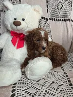 processed/02161680-50ec-45b1-952f-236ce4a15ec7/listing/e737f413-8c0e-458f-a2e6-1f7dd77999c3/a93b2d29-4ce6-466c-9d68-a23efb80718f