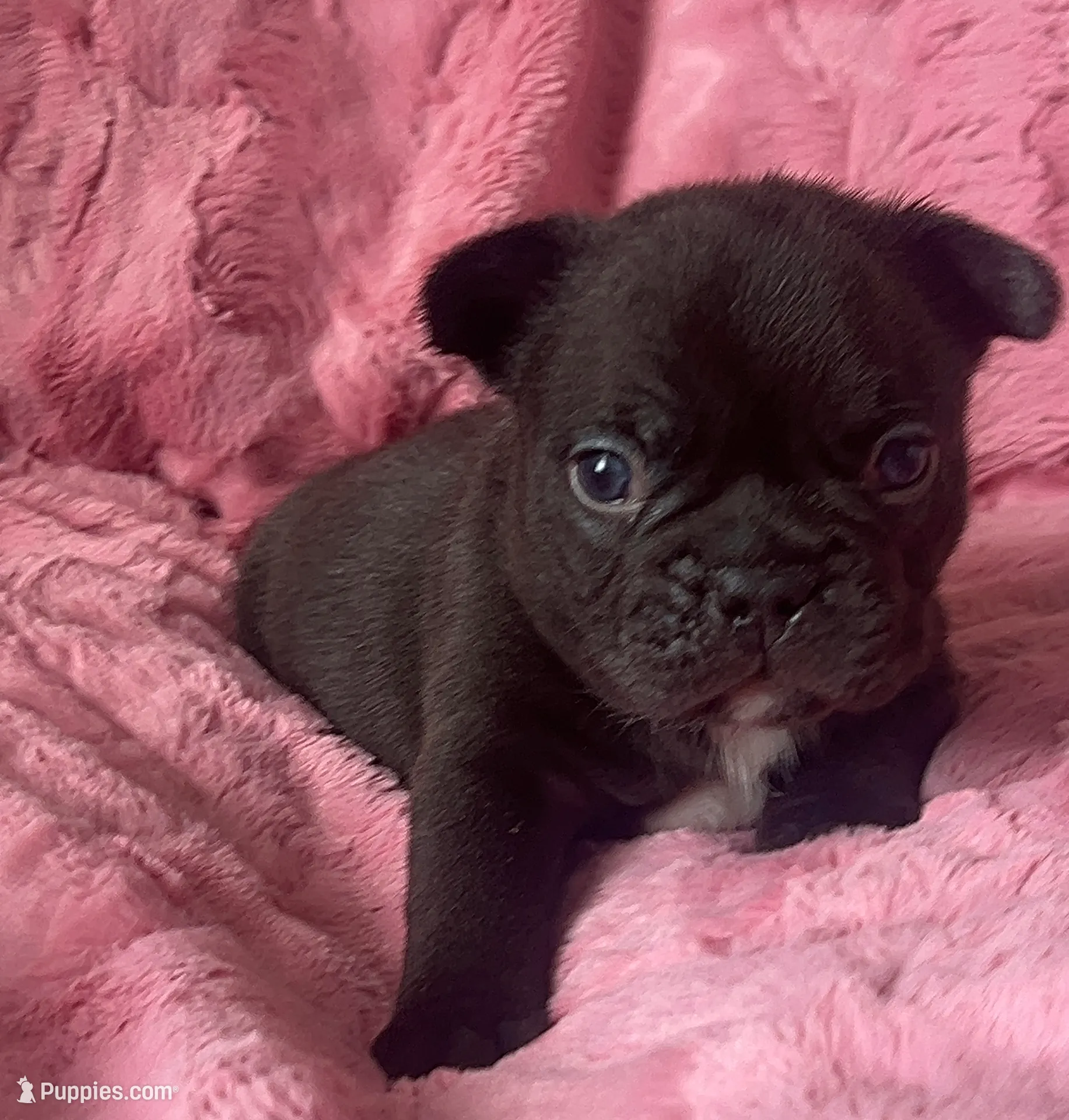 processed/021fd5ab-c859-4fec-b01a-81dc7412d717/listing/69e85d3b-7da7-4de8-8771-6fa2c30c5793/7e53d098-a4cc-42fd-b780-aee005994148