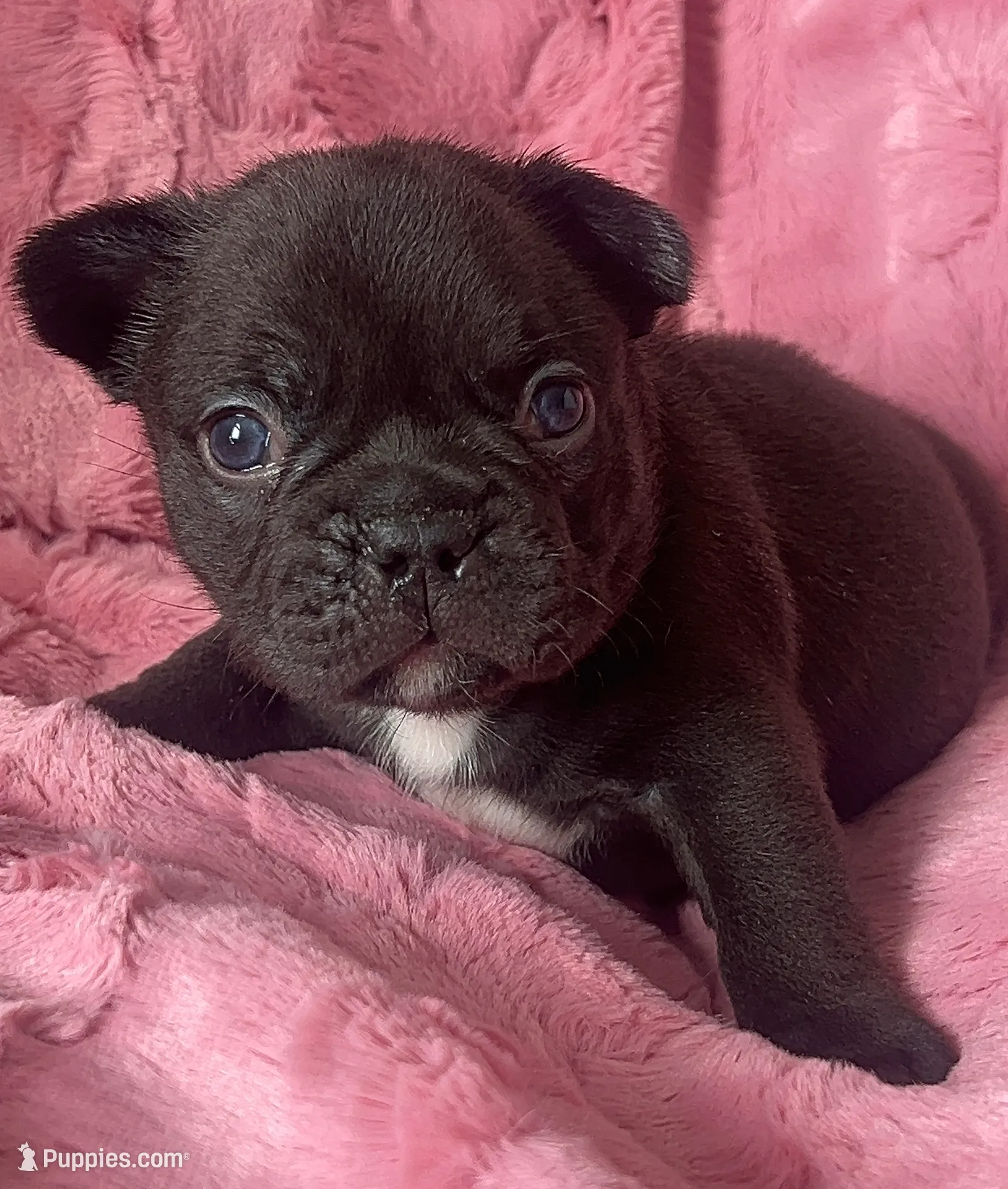 processed/021fd5ab-c859-4fec-b01a-81dc7412d717/listing/69e85d3b-7da7-4de8-8771-6fa2c30c5793/d30366a0-96df-4273-b39d-beadcde46641