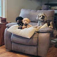 processed/02261829-ff27-45a8-8bad-1270edb4aa56/facility/1650dcb6-a791-41db-9e3d-8bb896d8c41e