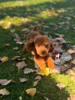 processed/02261829-ff27-45a8-8bad-1270edb4aa56/facility/20d1be77-670d-4d27-adaf-08caf458dd57