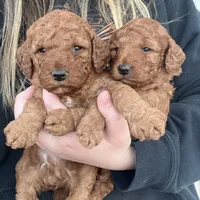 processed/02261829-ff27-45a8-8bad-1270edb4aa56/facility/47e8f376-3ee0-4fe7-96a5-153917e24310