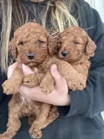 processed/02261829-ff27-45a8-8bad-1270edb4aa56/facility/47e8f376-3ee0-4fe7-96a5-153917e24310