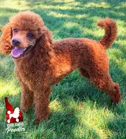 processed/02261829-ff27-45a8-8bad-1270edb4aa56/facility/6cd62f27-cb64-4dd4-af9e-996fb8f5c08e