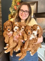 processed/02261829-ff27-45a8-8bad-1270edb4aa56/facility/907459c4-2524-4b4d-aab7-43a42886eb38